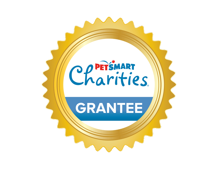 YWCA Missoula receives $25K grant from PetSmart Charities to help keep pets and people together